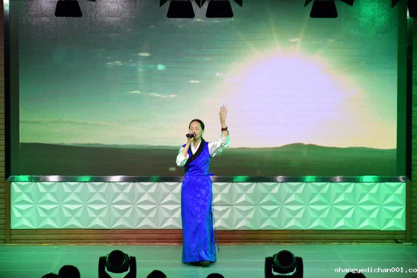 1529029026760201.jpg 歌手比赛2_meitu_8.jpg